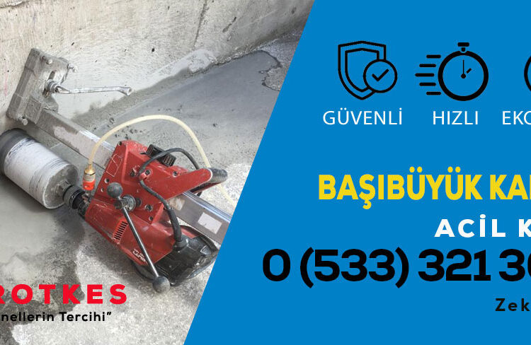 basibuyuk karotcu